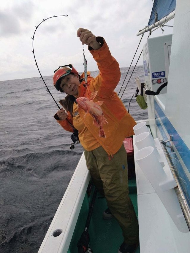 ウッカリカサゴ