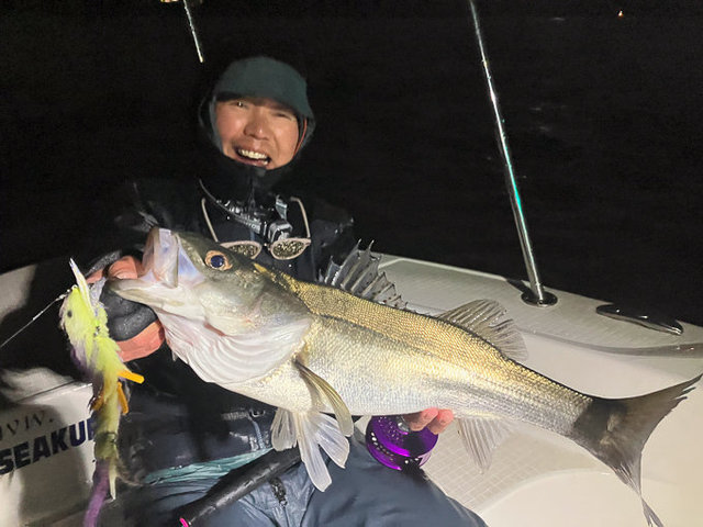 シーバス(スズキ)