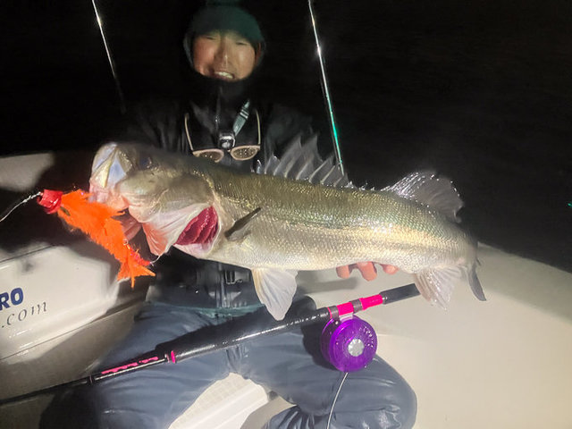 シーバス(スズキ)