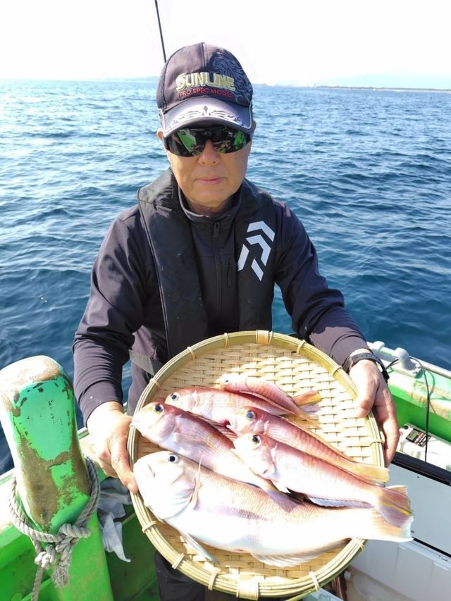 アマダイ(アカアマダイ)・シロアマダイ