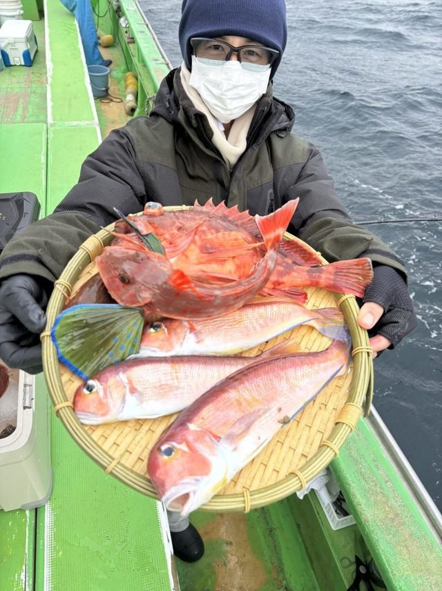 アマダイ(アカアマダイ)・ホウボウ