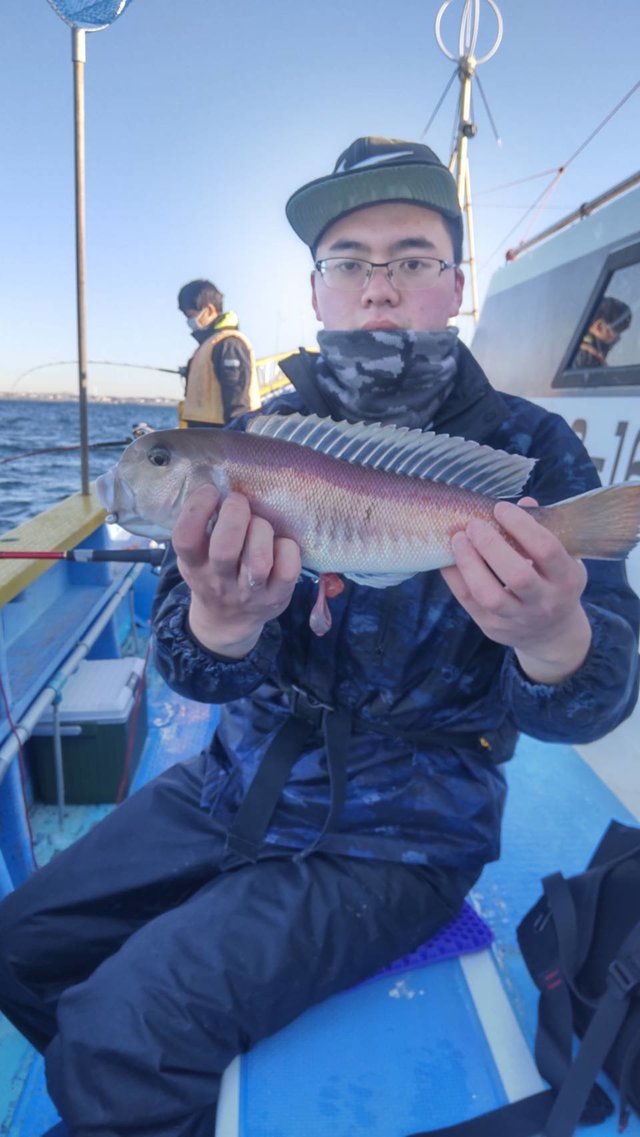 アマダイ(アカアマダイ)