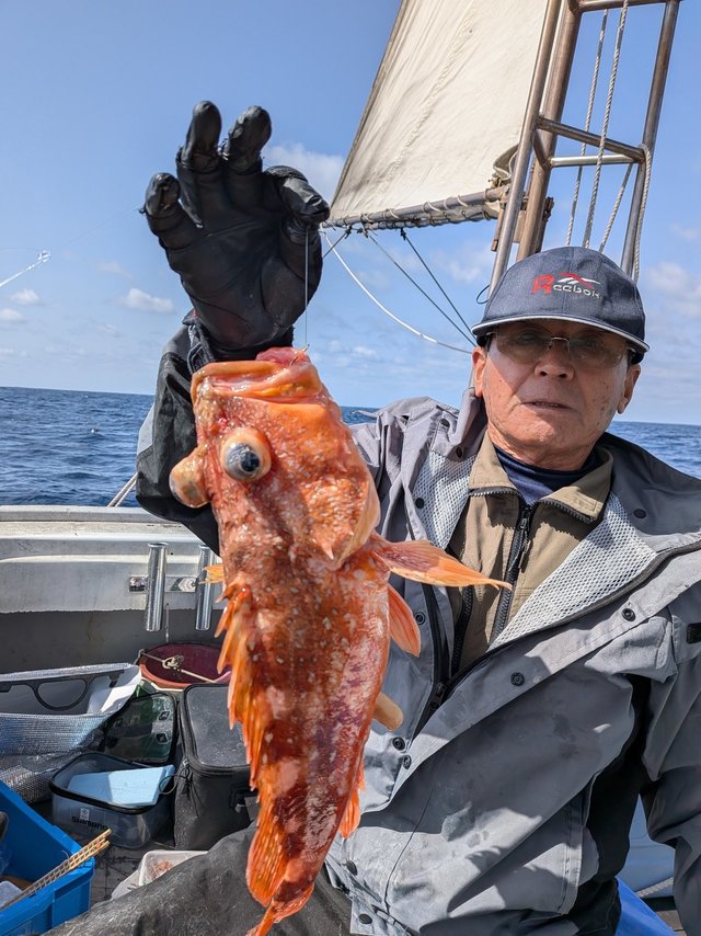 アラカブ(カサゴ)