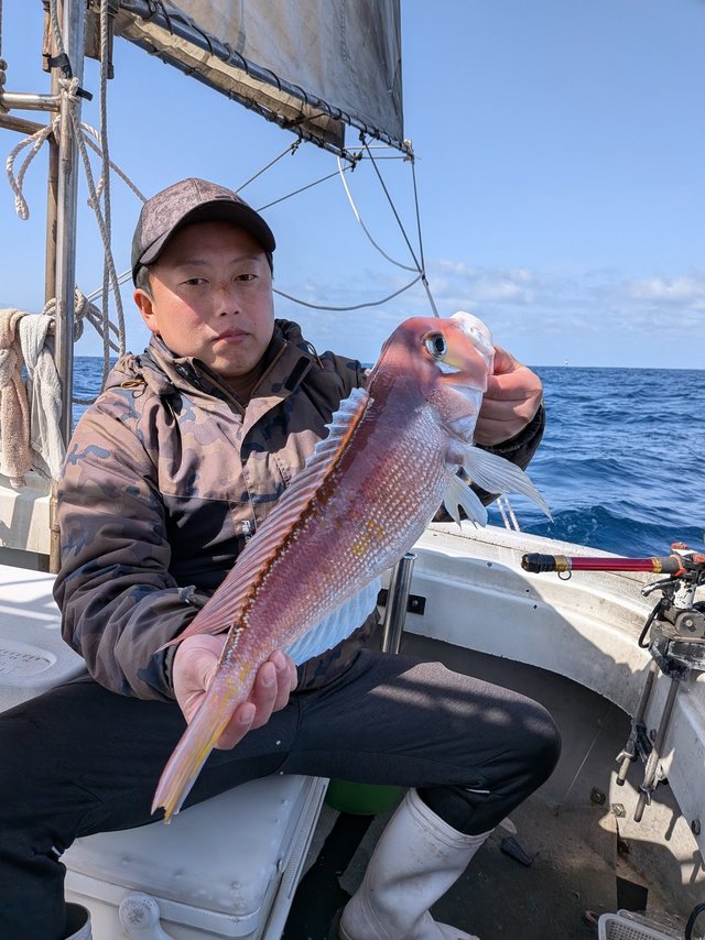 アマダイ(アカアマダイ)