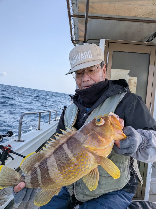 アオナ(アオハタ)