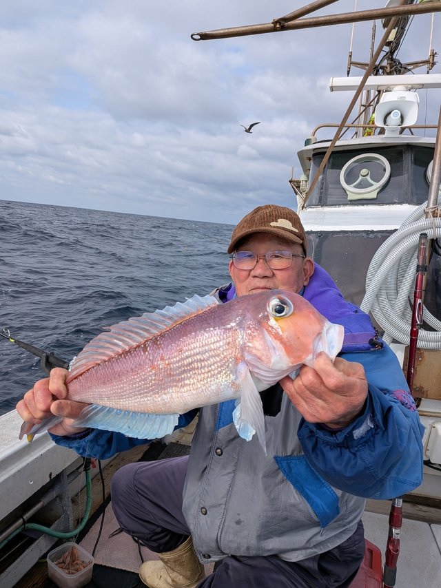 アマダイ(アカアマダイ)