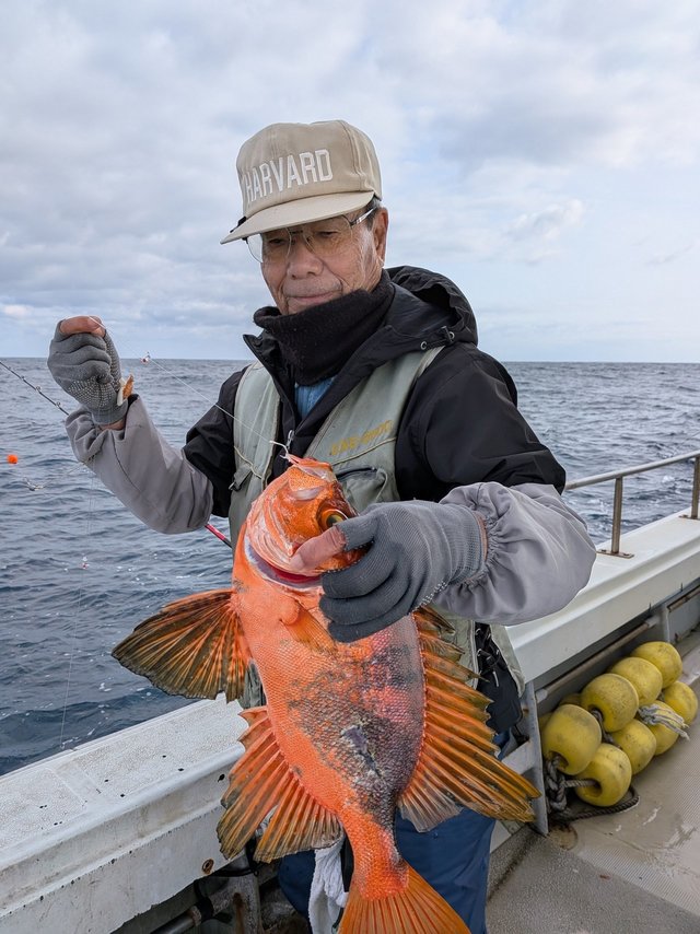 チカメキントキ