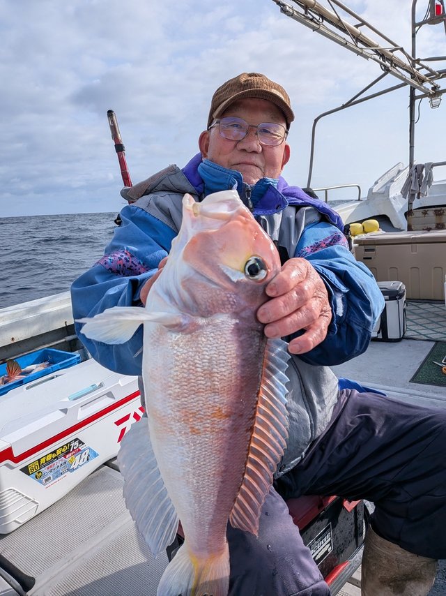 アマダイ(アカアマダイ)