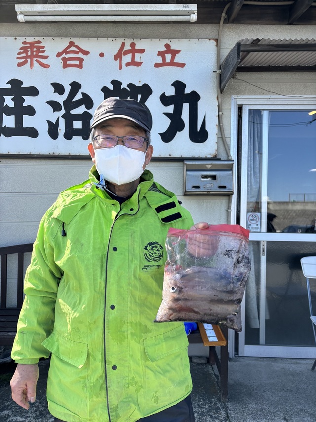 マルイカ(ケンサキイカ)