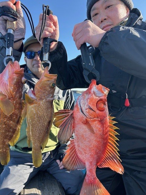 キジハタ・キントキ(チカメキントキ)