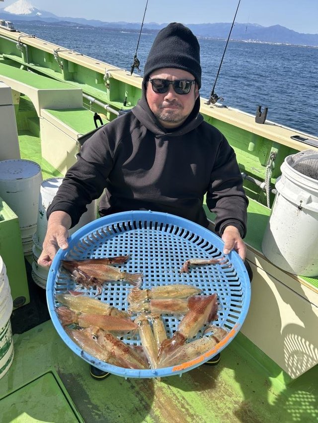 マルイカ(ケンサキイカ)