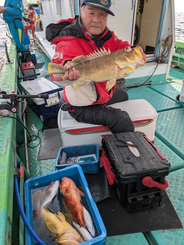 アオハタ・カサゴ