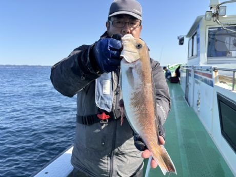 アマダイ(アカアマダイ)