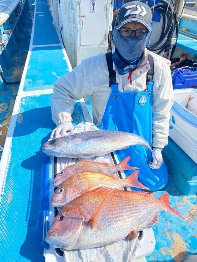 マダイ・メダイ