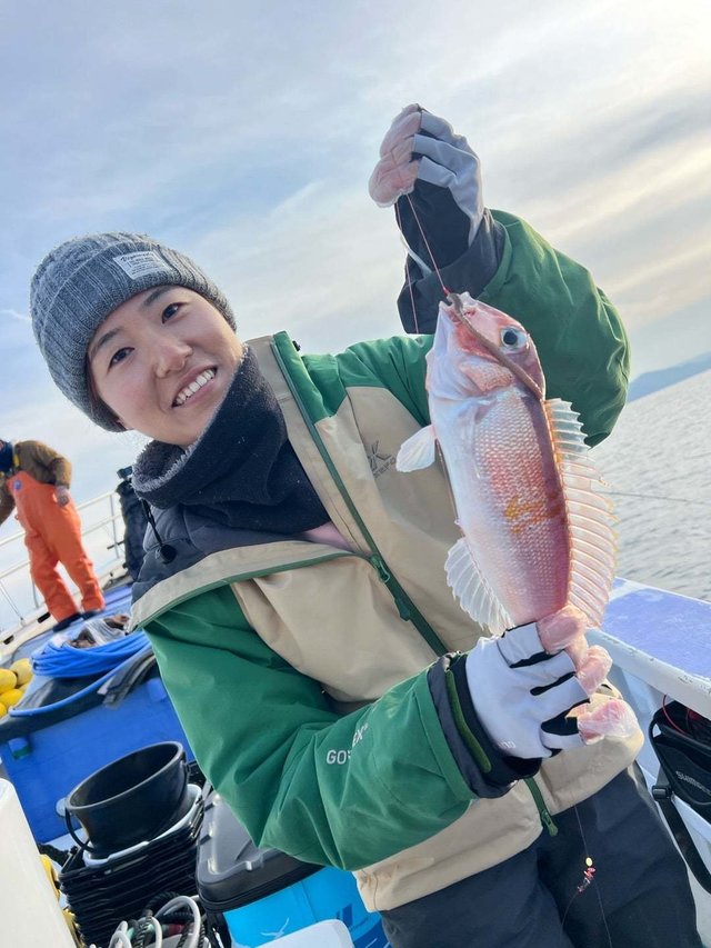 アマダイ(アカアマダイ)