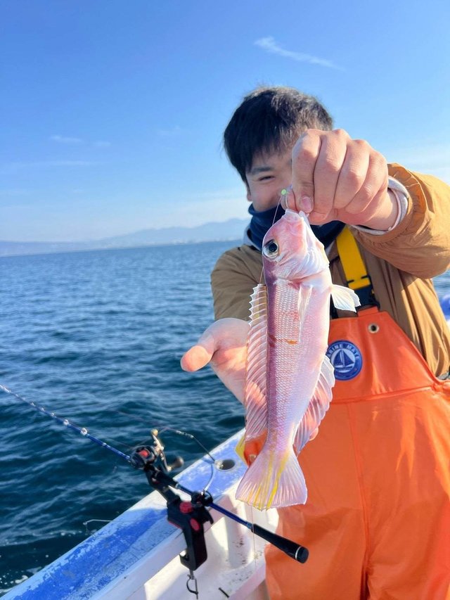 アマダイ(アカアマダイ)