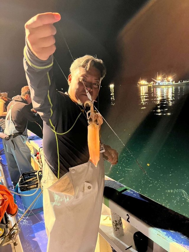 マルイカ(ケンサキイカ)