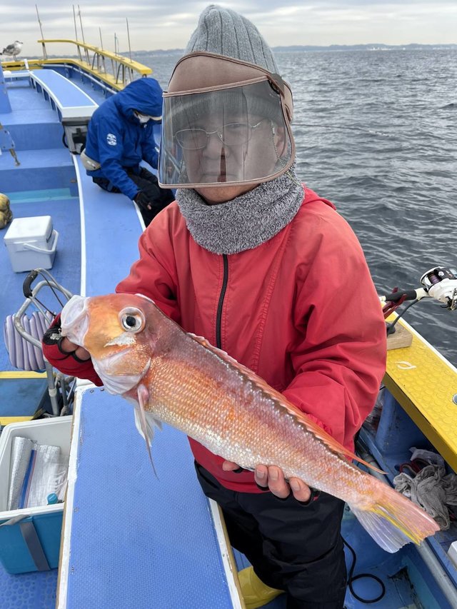 アマダイ(アカアマダイ)