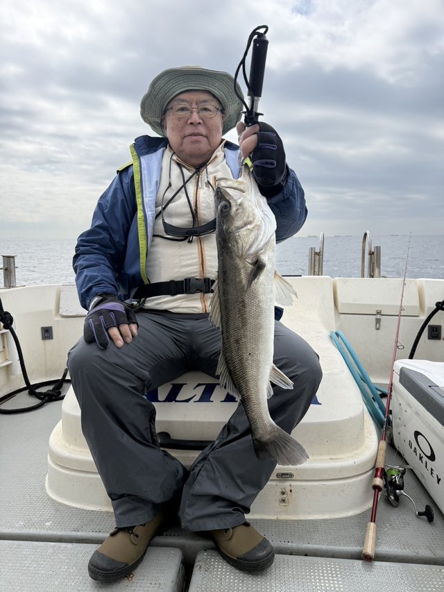 シーバス(スズキ)