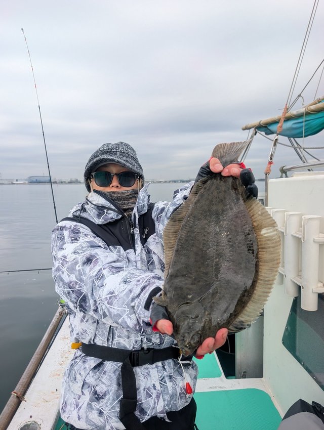 カレイ(マコガレイ)