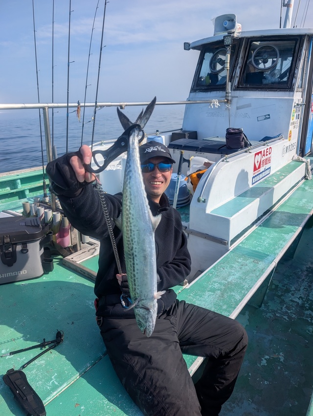 サゴシ(サワラ)