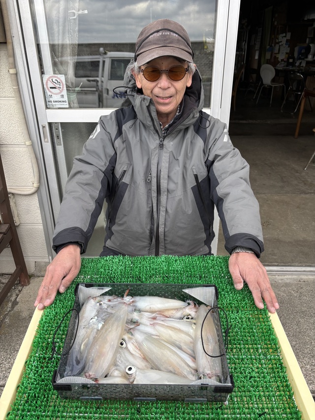 マルイカ(ケンサキイカ)