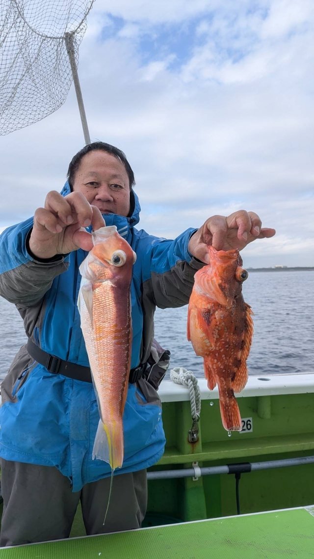 アマダイ(アカアマダイ)