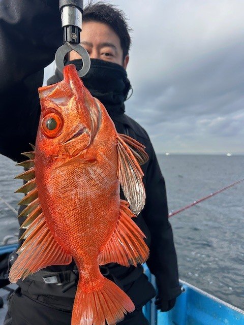 チカメ(チカメキントキ)