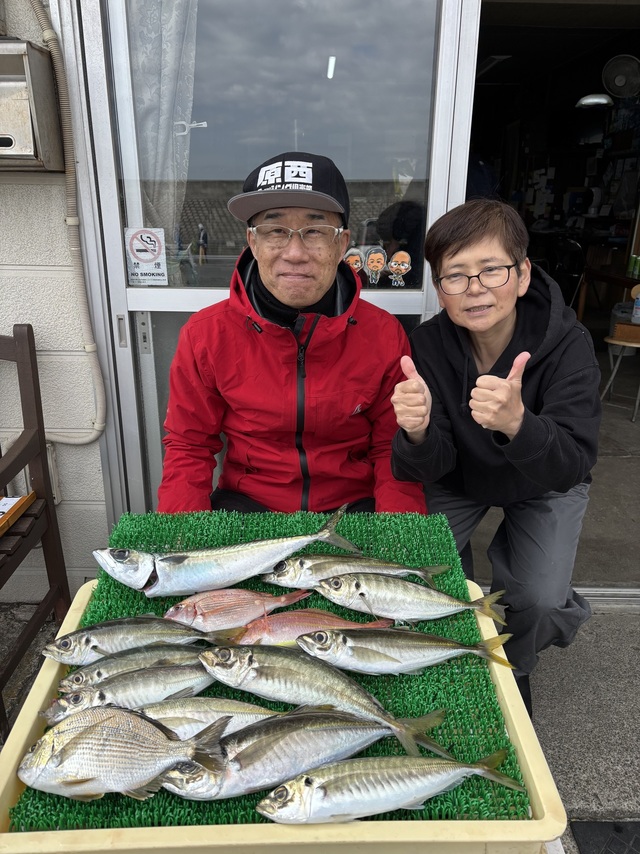 ヘダイ・アジ(マアジ)