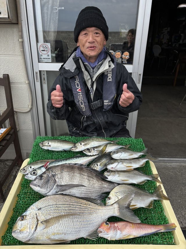 クロダイ・ヘダイ・アジ(マアジ)