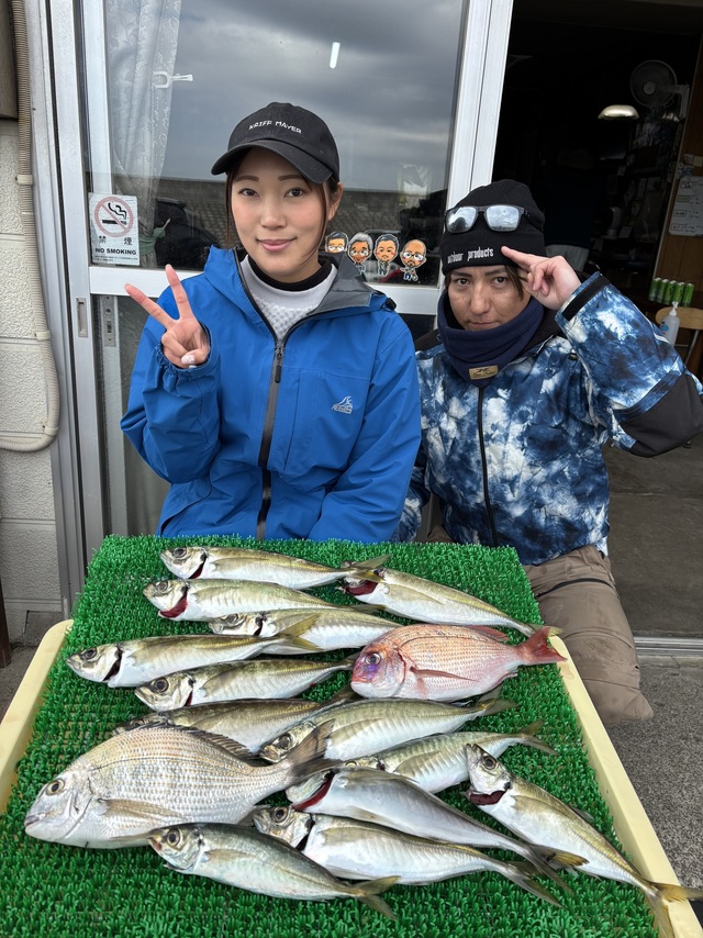 ヘダイ・アジ(マアジ)