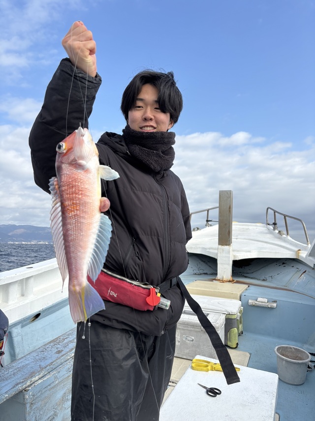 アマダイ(アカアマダイ)