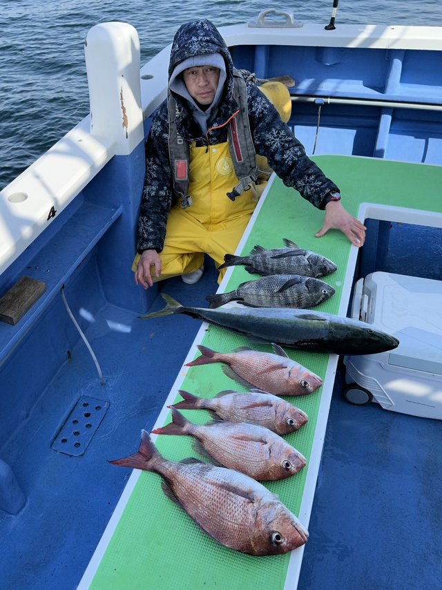 マダイ・クロダイ・ワラサ(ブリ)