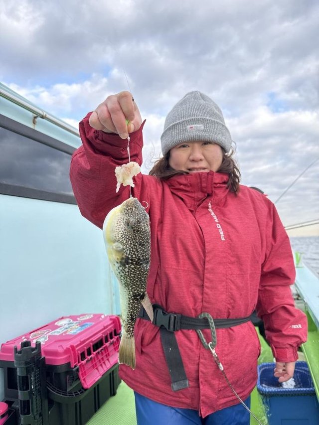 フグ(ショウサイフグ)