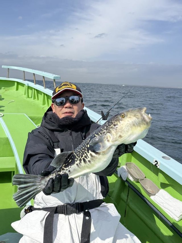 フグ(トラフグ)