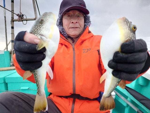 ショウサイフグ