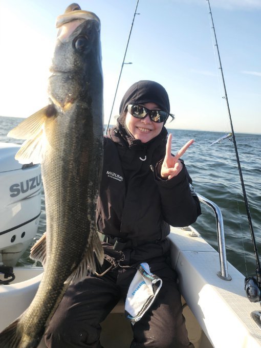 シーバス(スズキ)