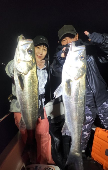 シーバス(スズキ)