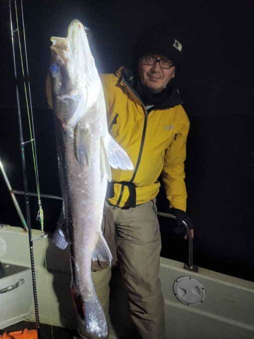 シーバス(スズキ)