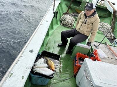 アオハタ・モンゴウイカ(カミナリイカ)