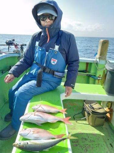 マダイ・アジ(マアジ)