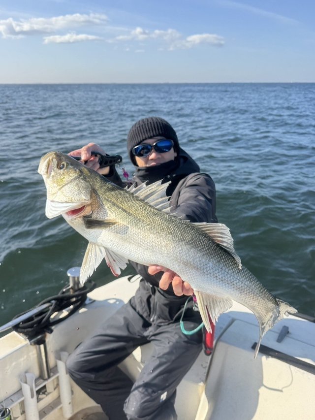 シーバス(スズキ)