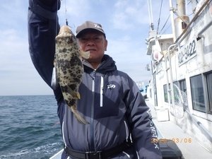 コモンフク(コモンフグ)