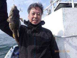 コモンフク(コモンフグ)