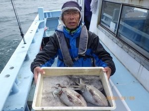 コウイカ