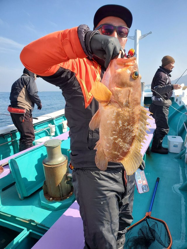 アコウ(キジハタ)