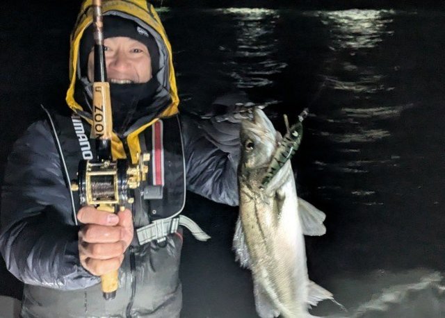 シーバス(スズキ)