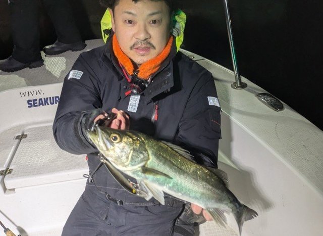 シーバス(スズキ)