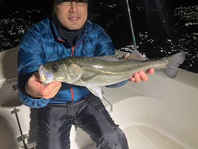 シーバス(スズキ)