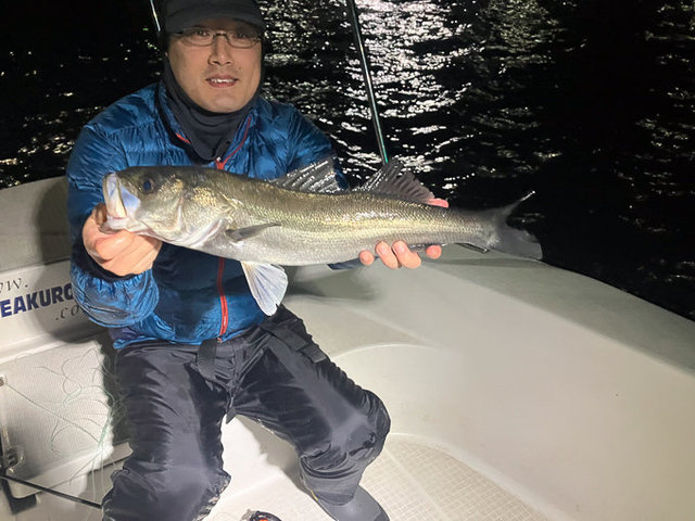 シーバス(スズキ)